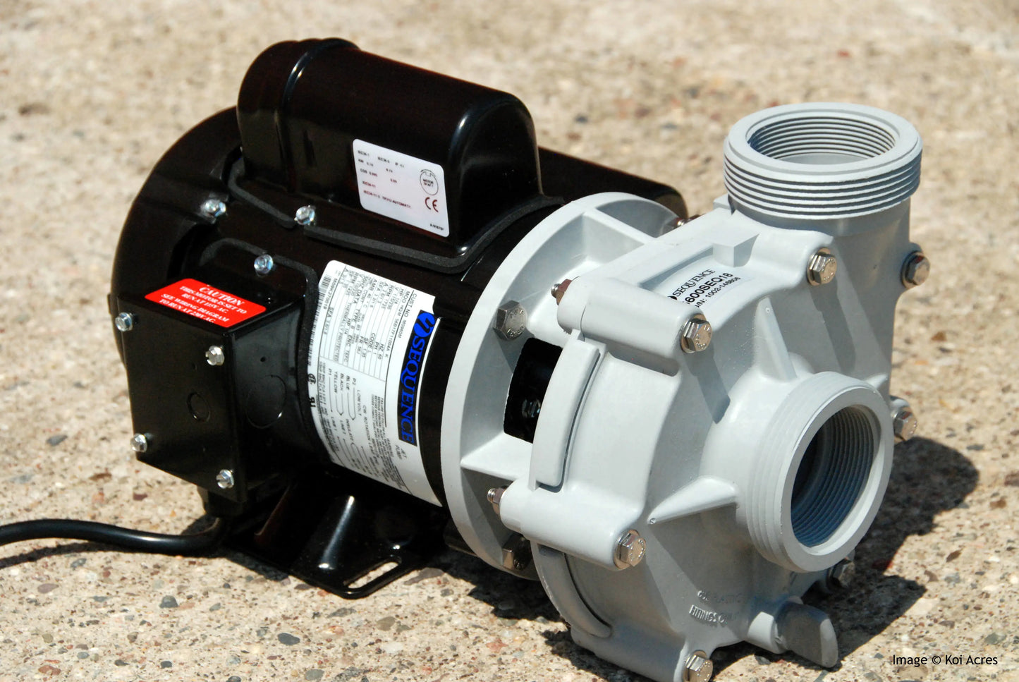 Sequence 5800SEQ21 External Pond Pump