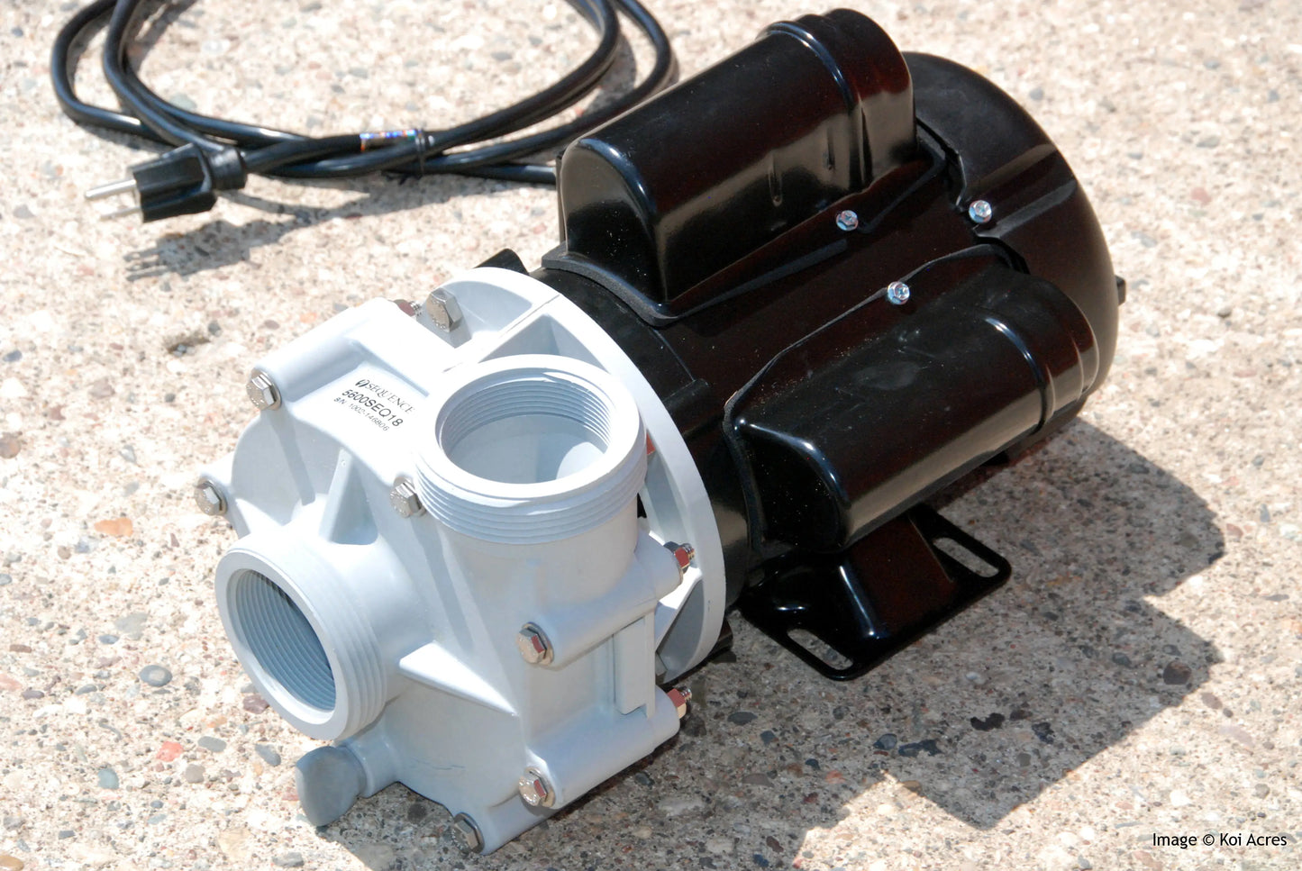 Sequence 5800SEQ21 External Pond Pump
