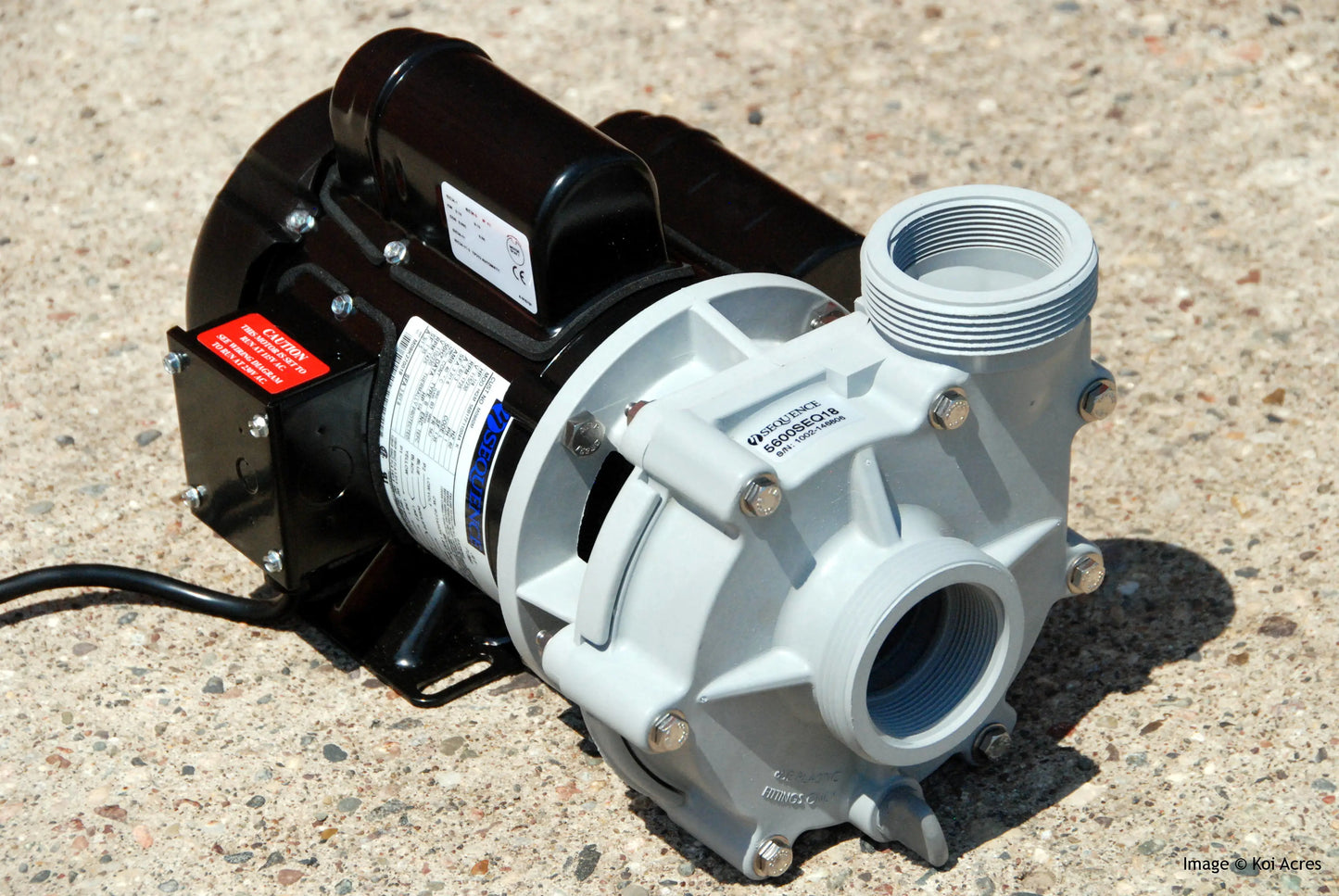 Sequence 5800SEQ21 External Pond Pump