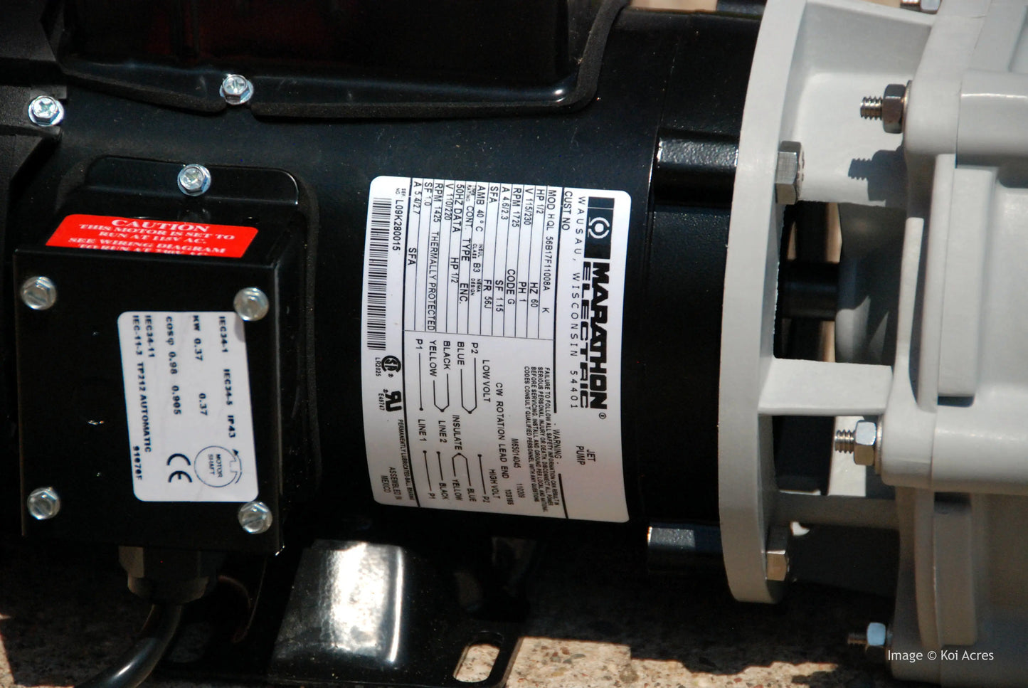 Sequence 6800SEQ22 External Pond Pump