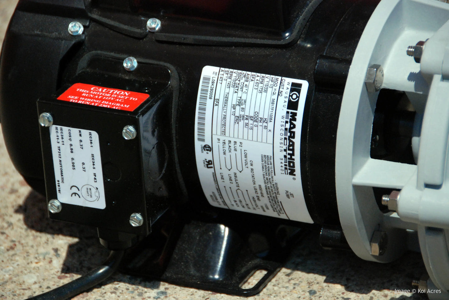 Sequence 8200SEQ22 External Pond Pump