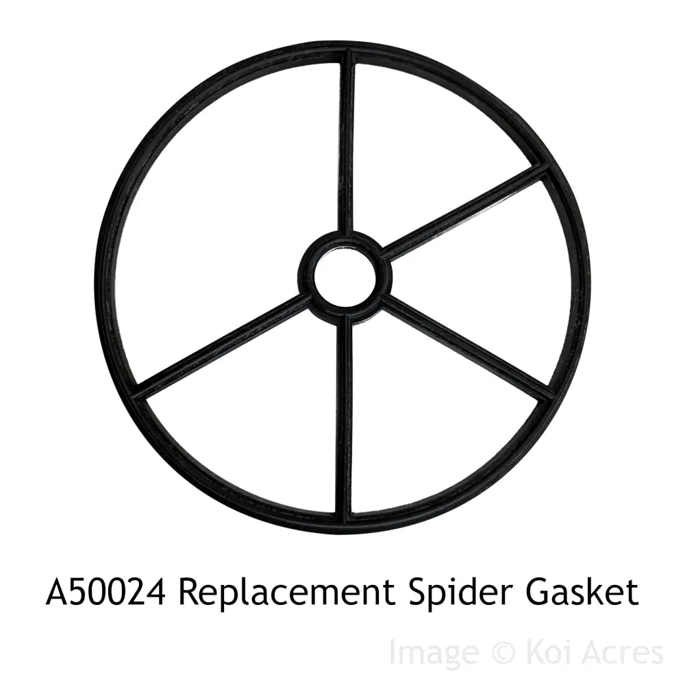 A50024 2in Spider Gasket