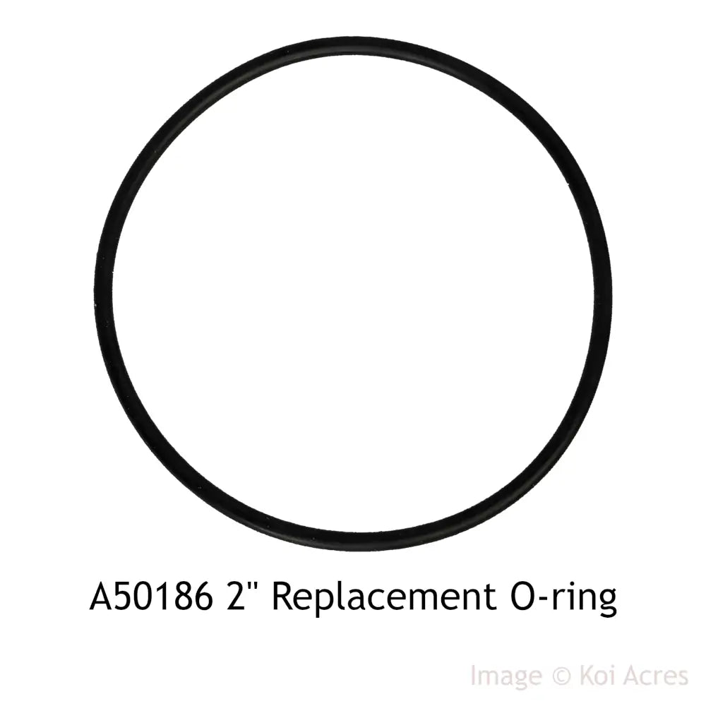 A50186 2" Replacement O-ring