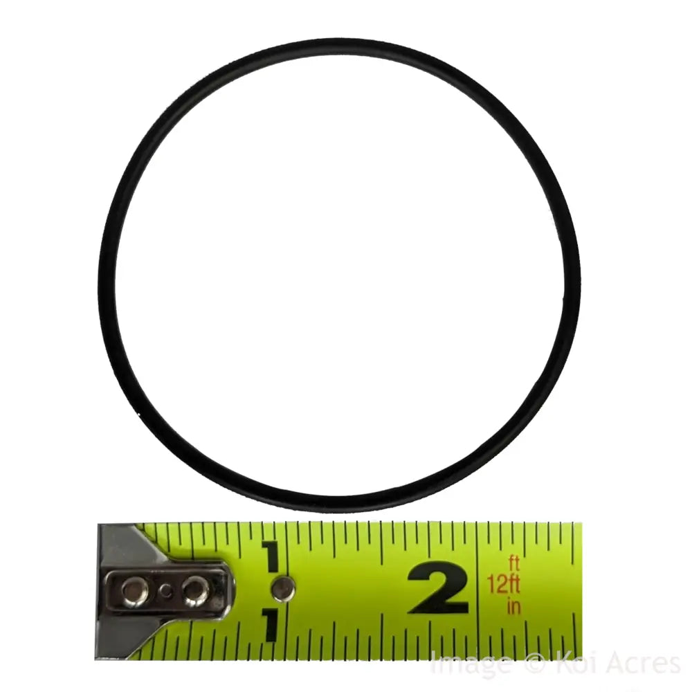 A50186 2" Replacement O-ring with measurement